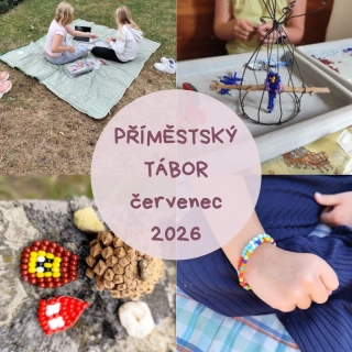 PŘÍMĚSTSKÝ TÁBOR s drátováním - červenec 2026