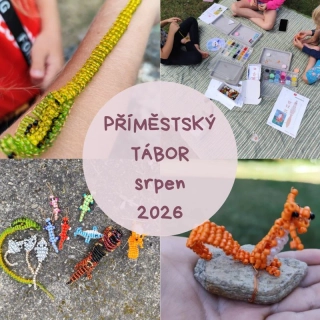 PŘÍMĚSTSKÝ TÁBOR s drátováním - srpen 2026